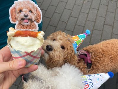 Today I am ONE!