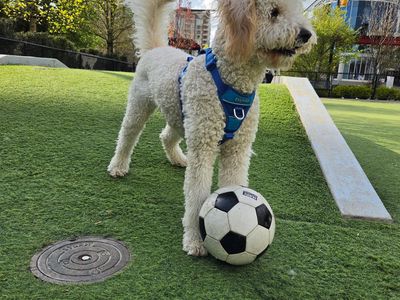 Soccer World Cup Top Player - Photo 4