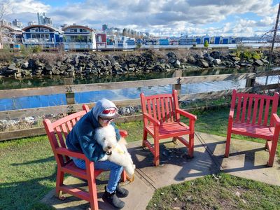 Three Red Chairs - Photo 4