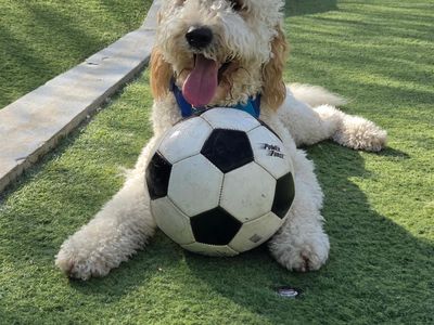Soccer World Cup Top Player - Photo 7