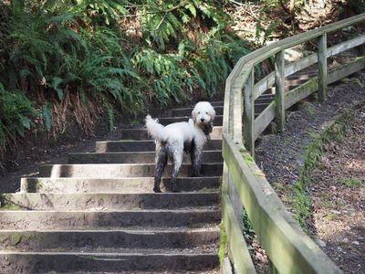 Inter River Park Adventures - Photo 3