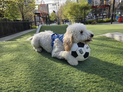Soccer World Cup Top Player - Photo 9