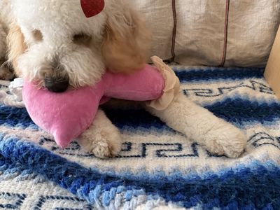Today I am ONE! - Photo 6