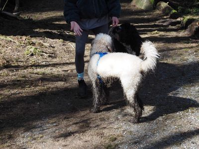 Inter River Park Adventures