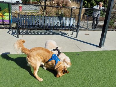 Buddy's buddy - Photo 10