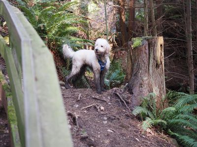 Inter River Park Adventures - Photo 2