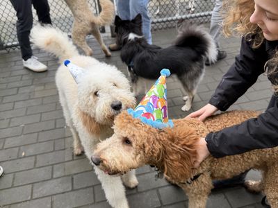 Today I am ONE! - Photo 2